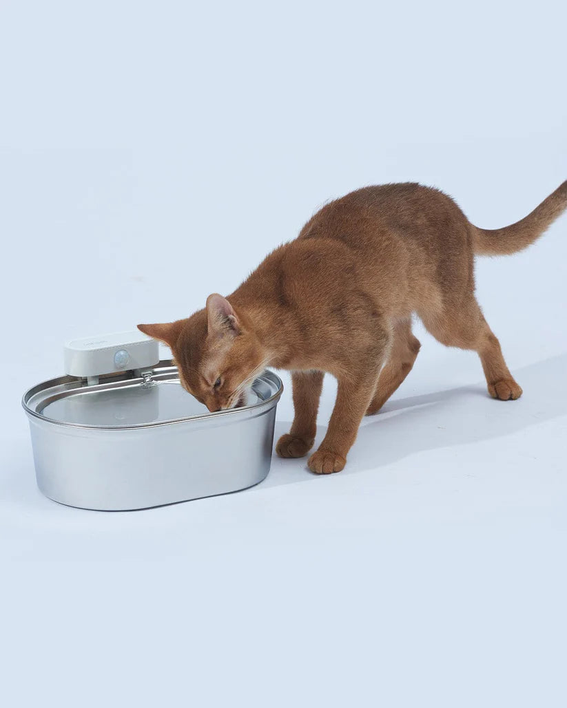 PawFount™Uahpet pro