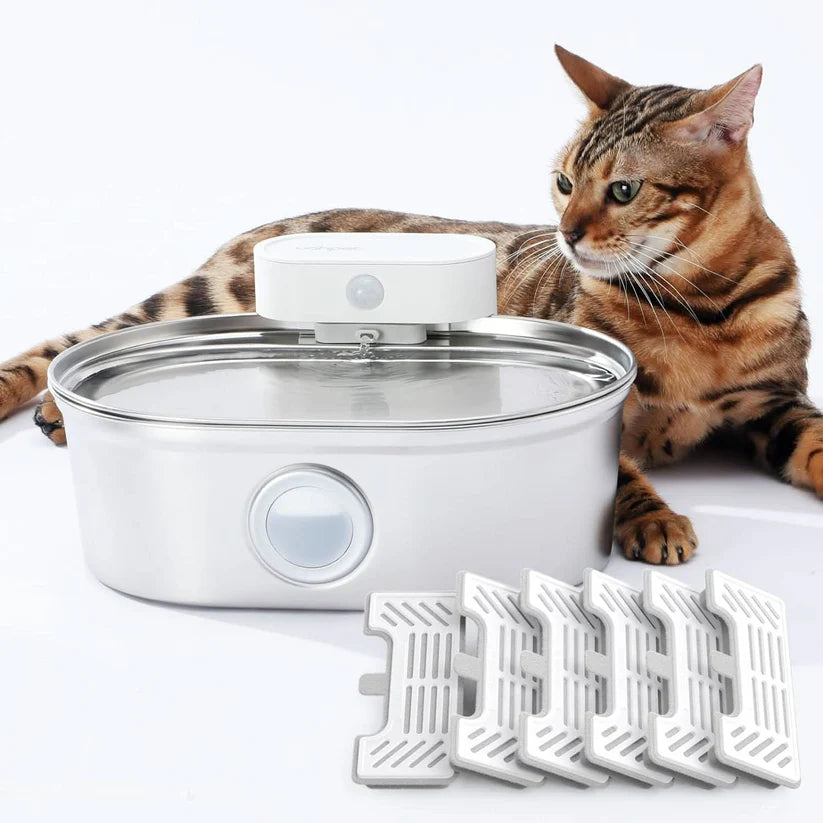 PawFount™Uahpet pro