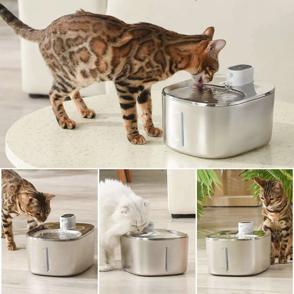 Paw Fount™Wireless Fountain