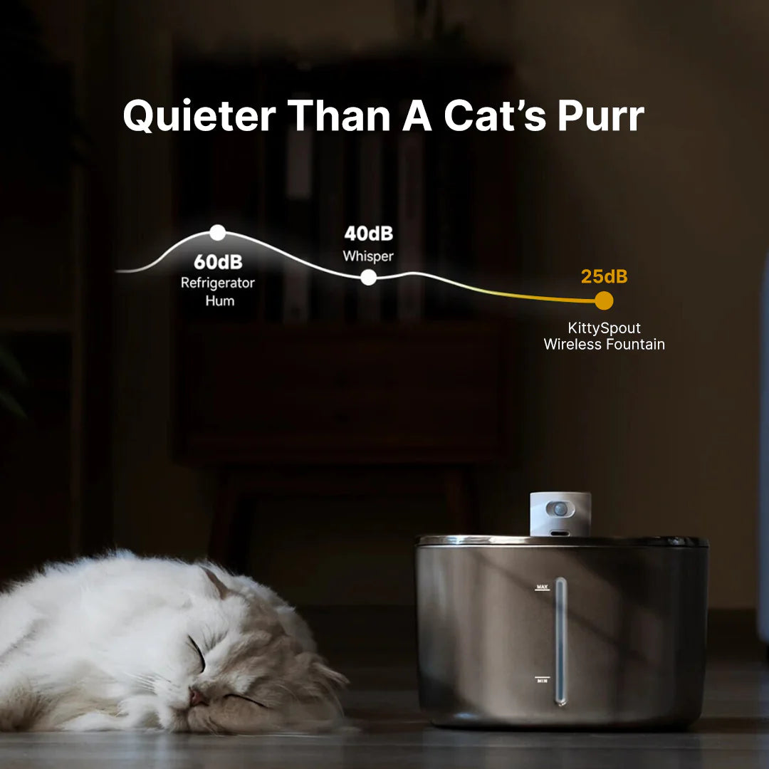 Paw Fount™Wireless Fountain