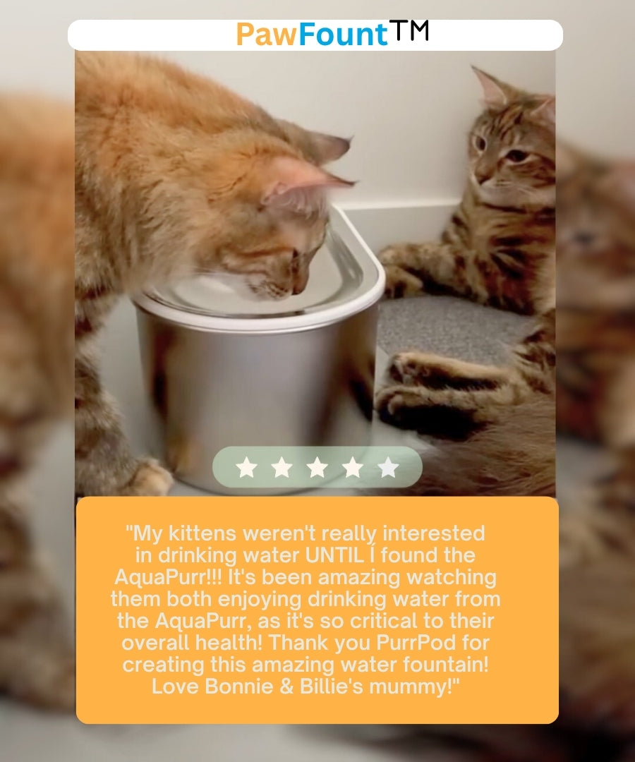 PawFount™AquaPurr Fountain