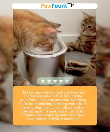 PawFount™AquaPurr Fountain