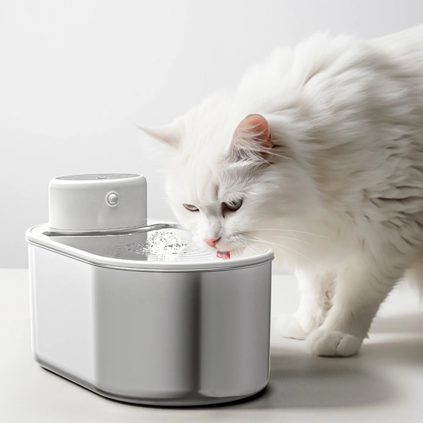 PawFount™AquaPurr Fountain