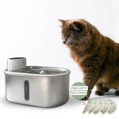 PawFount™AquaPurr Fountain