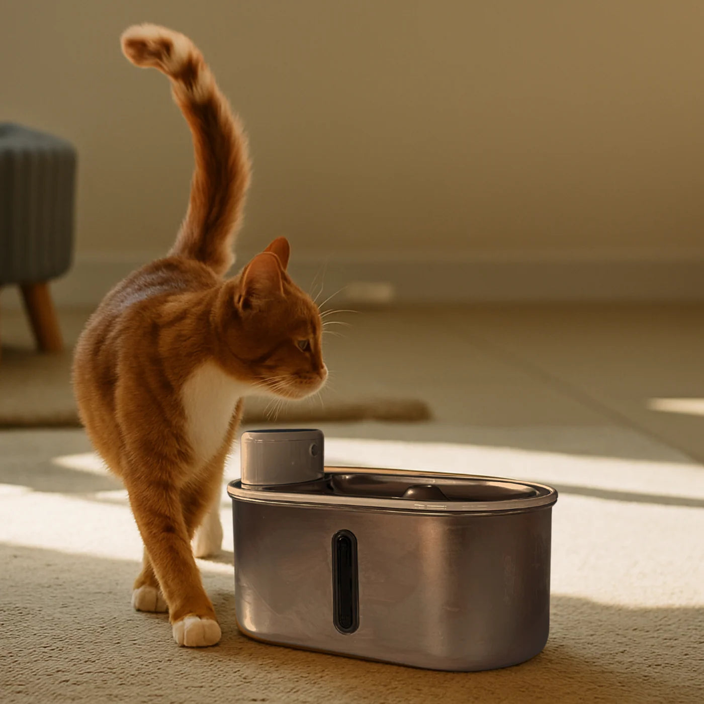 PawFount™AquaPurr Fountain