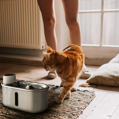 PawFount™AquaPurr Fountain