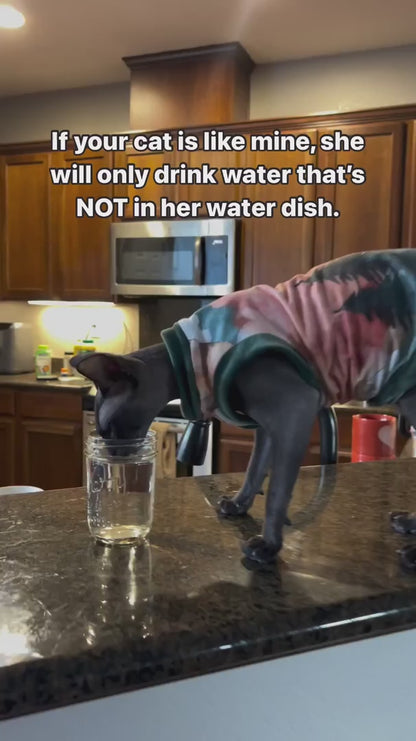 PawFount™Uahpet pro