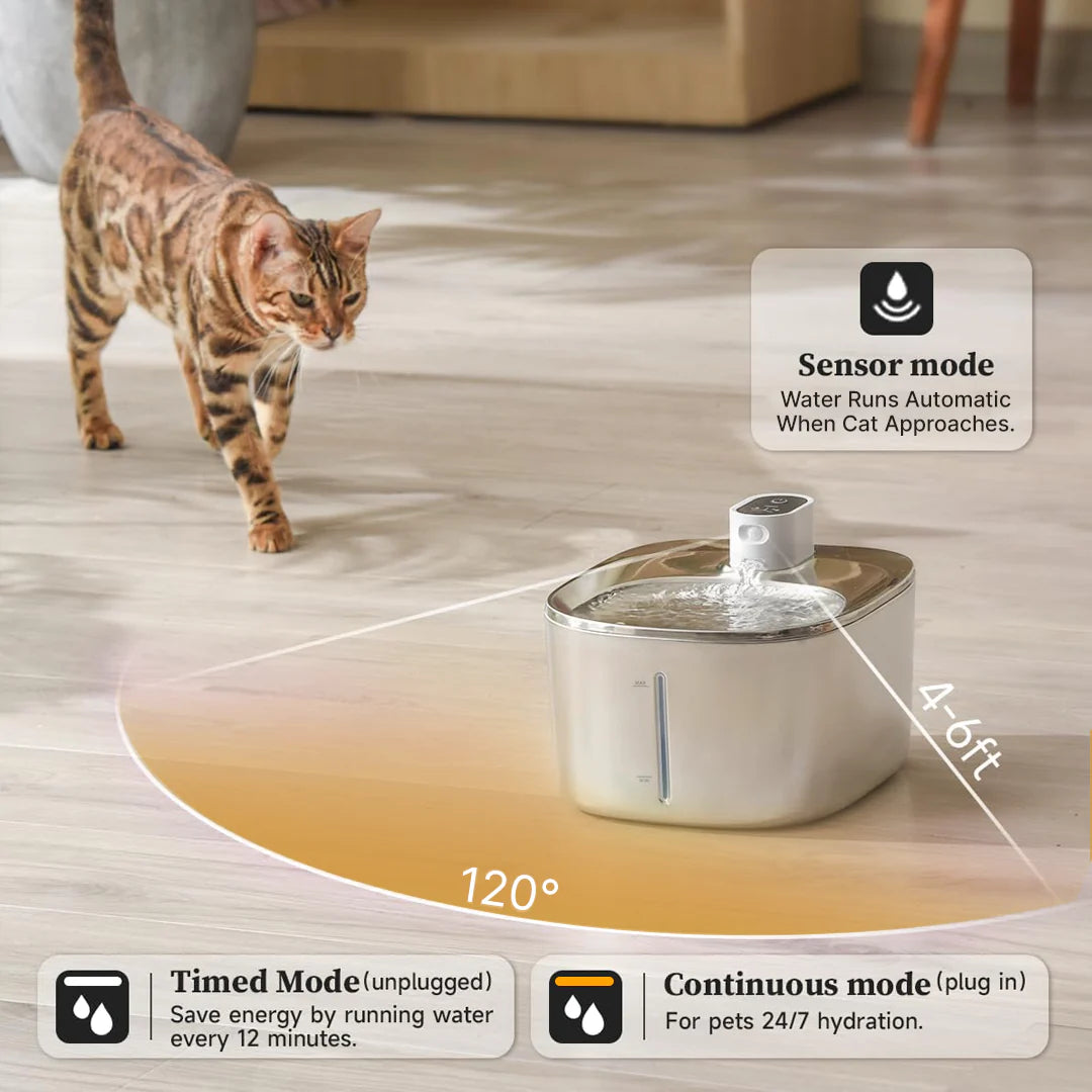 Paw Fount™Wireless Fountain